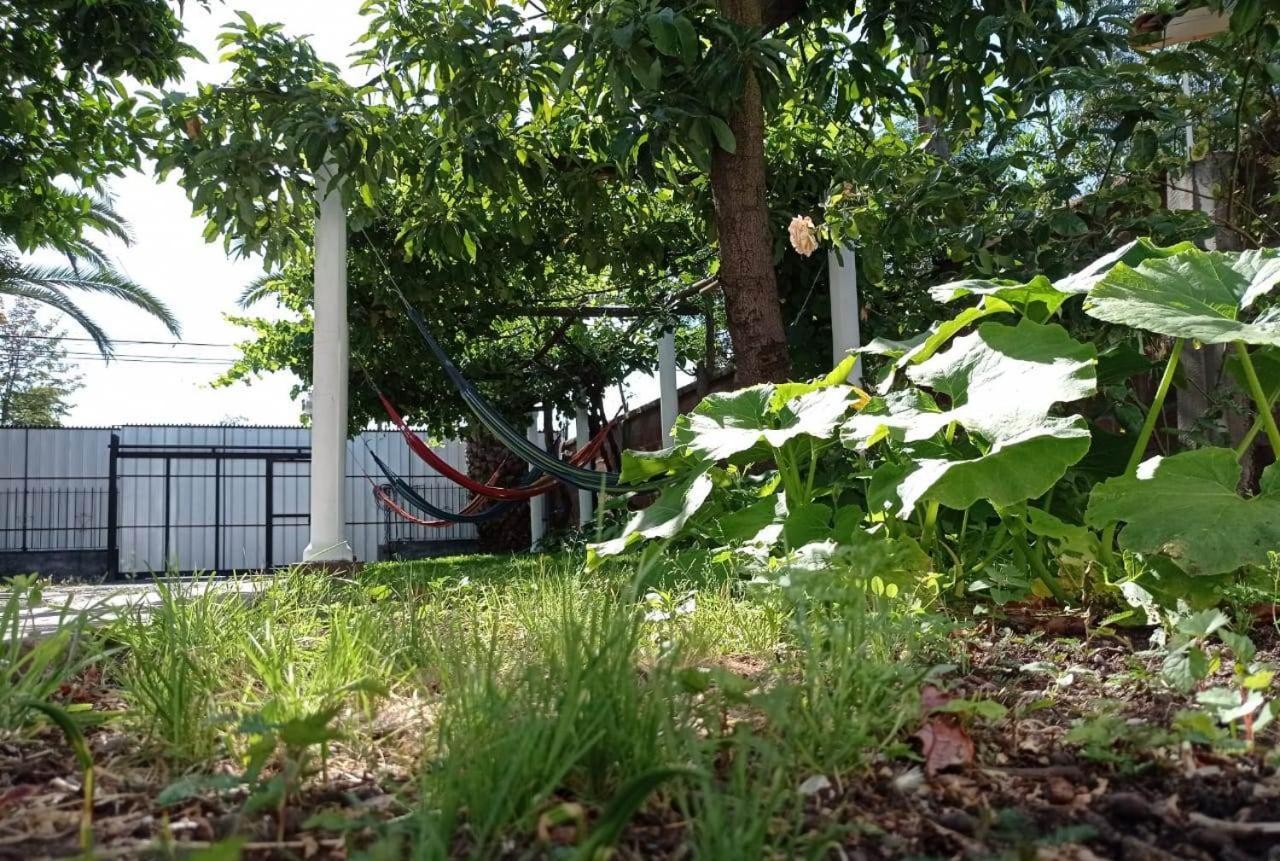 Hospedaje Curico Casa Grande Exterior foto